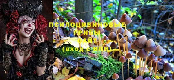 стафф Бугульма