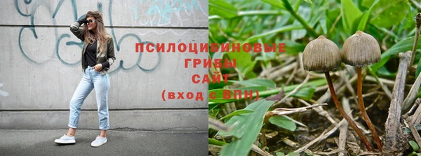 круглые Бородино