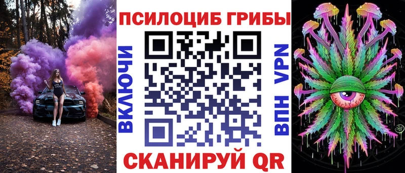 Купить где  Магадан  Псилоцибиновые грибы MAGIC MUSHROOMS 